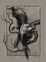 Huginn & Muninn